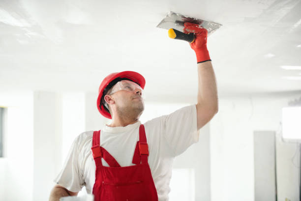 Wallpaper Removal and Painting in Yountville, CA